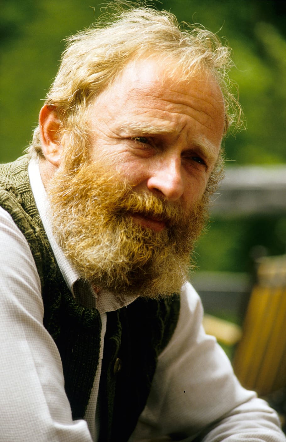 austrians, man, portrait, bart, beard, head, human, person HD wallpaper