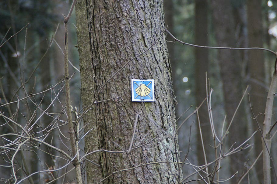 jakobsweg, scallop, directory, shield, trail, pilgrimage, pilgrims path HD wallpaper
