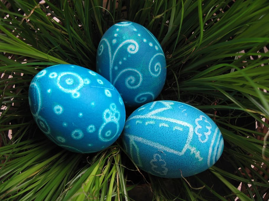 easter, eggs, blue, spring, decoration, color, grass, decorative HD wallpaper