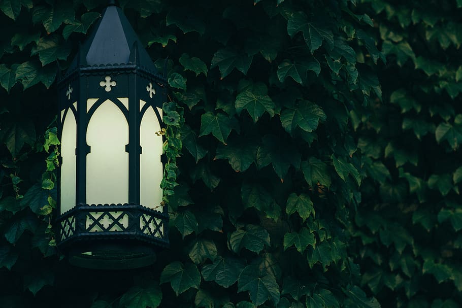 still, items, things, decorative, light, lamp, post, scone HD wallpaper