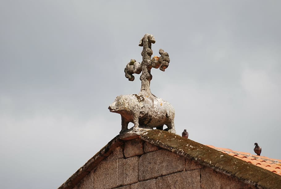 cruz, church, little pig, roof, decoration, architecture, old, HD wallpaper