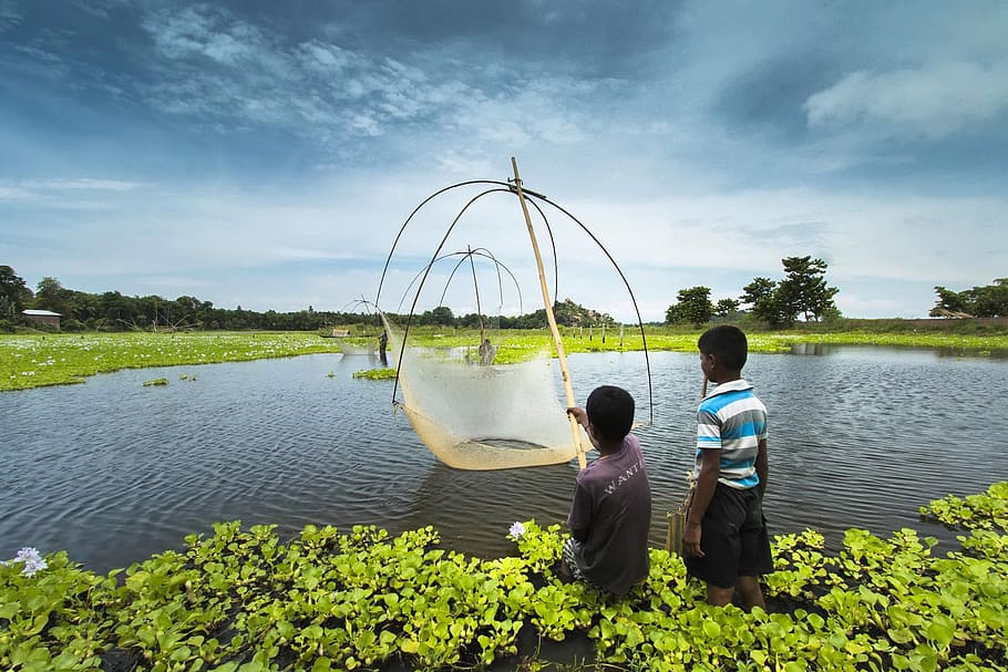 Children fishing in the lake 