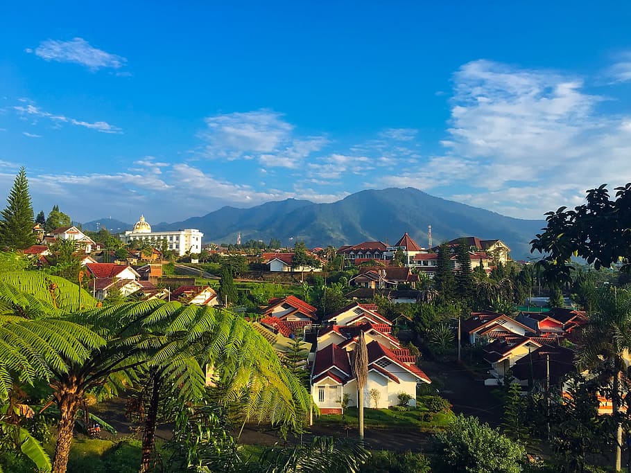 West Java, Indonesia, Palm Trees, tropics, tropical, mountains HD wallpaper