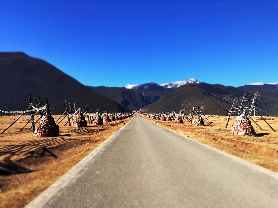 asphalt road in middle of field with fences, Shangri-La, Zhongdian