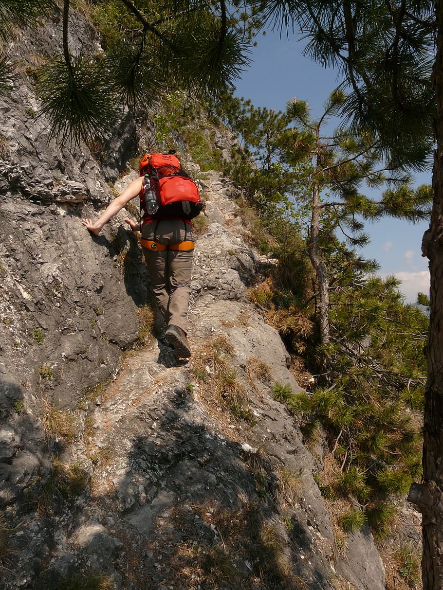 climbing, climbing platform system, rope, wire rope, climber HD wallpaper