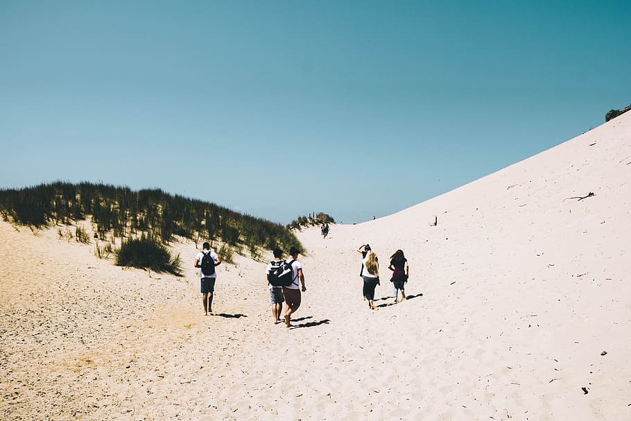 five persons walking at desert under blue sky during daytime, five person walking on sand near green grass under blue sky during daytime HD wallpaper