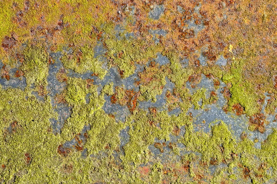 close up photography of green paste, texture, pattern, abstract HD wallpaper