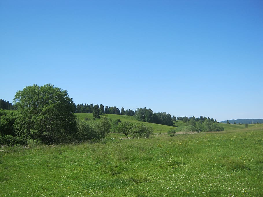 landscape, meadow, hiking, sky, blue, wide, plant, tranquility HD wallpaper