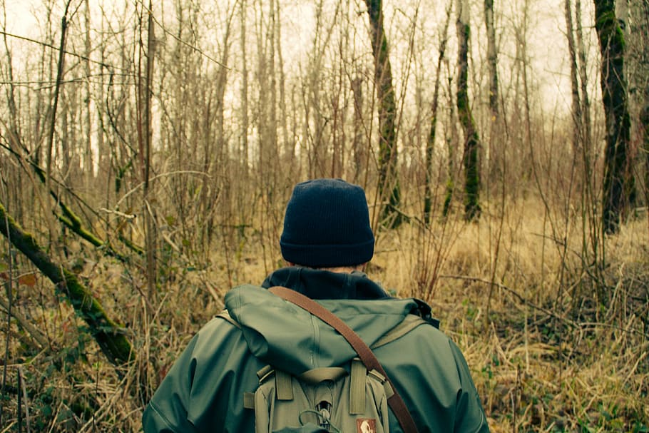 man walking on forest, man walking through forest during daytime HD wallpaper
