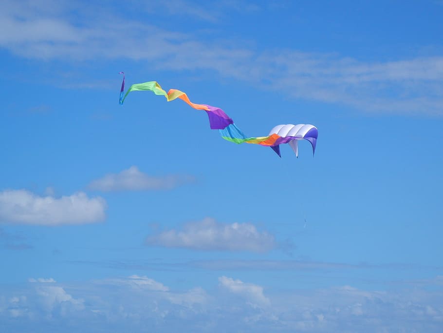kite, blue sky, play, flight, summer, wind, dom, fly, activity HD wallpaper
