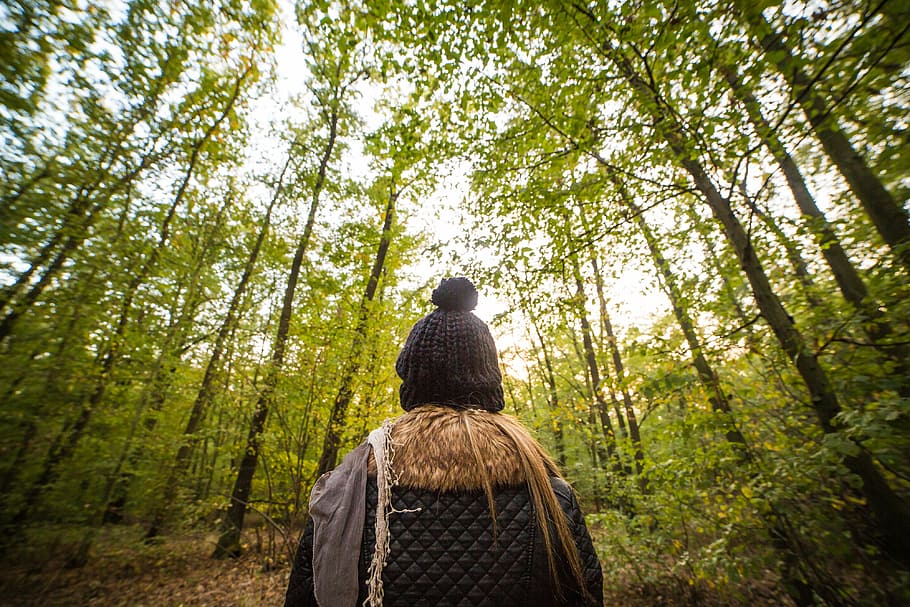 Young Woman Walking Through The Forest, alone, autumn, cold, girl HD wallpaper