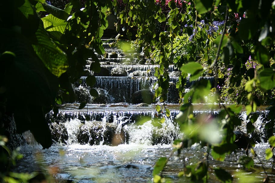Nature, Spring, Waterfall, park, no people, outdoors, day, plant HD wallpaper