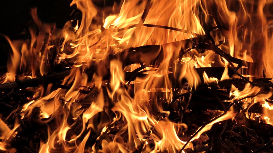 bonfire, wood in fire, burning wood fire, campfire, firewood, HD wallpaper