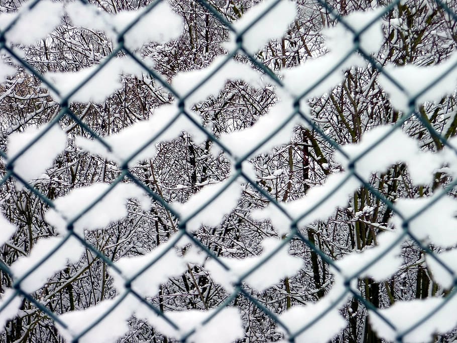 fence, snow, winter, white, cold, wintry, winter's day, frosty HD wallpaper