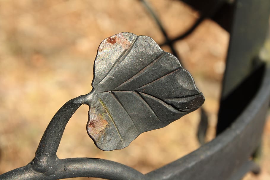 metal, leaf, rust, black, close-up, focus on foreground, plant part HD wallpaper