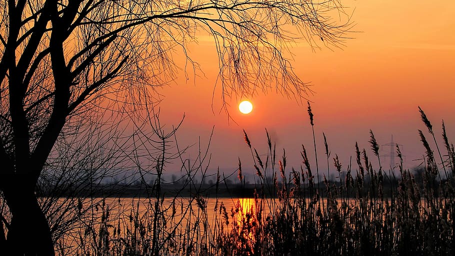 gold hour photography of the sun, sunset, afterglow, landscape HD wallpaper