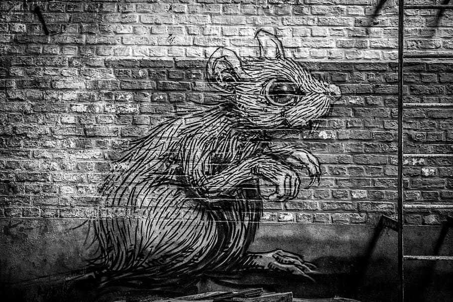 rat graffiti cart, sketch of mouse in wall, ladder, brick wall HD wallpaper
