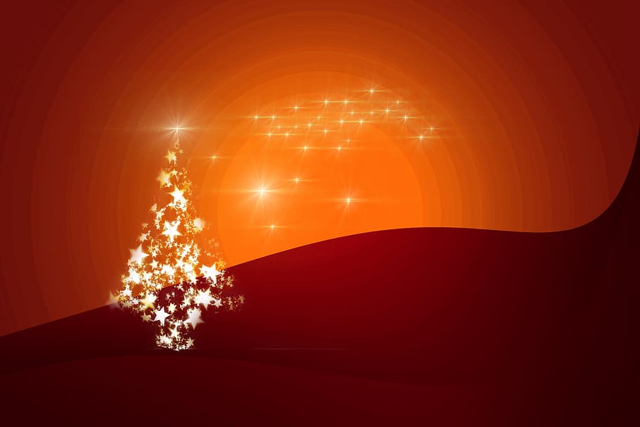 white Christmas tree digital wallpaper, star, advent, background HD wallpaper