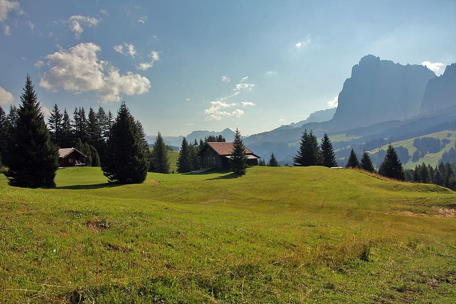 dolomites, mountain, landscape, prato, plant, grass, sky, beauty in nature HD wallpaper