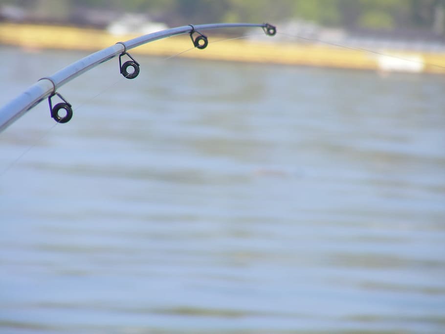Fishing, Rods, Ship, Danube, fishing rods, water, no people HD wallpaper