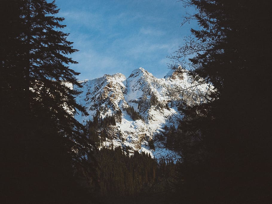 snow covered mountain and trees photo, glacier mountain under blue sky at daytime HD wallpaper