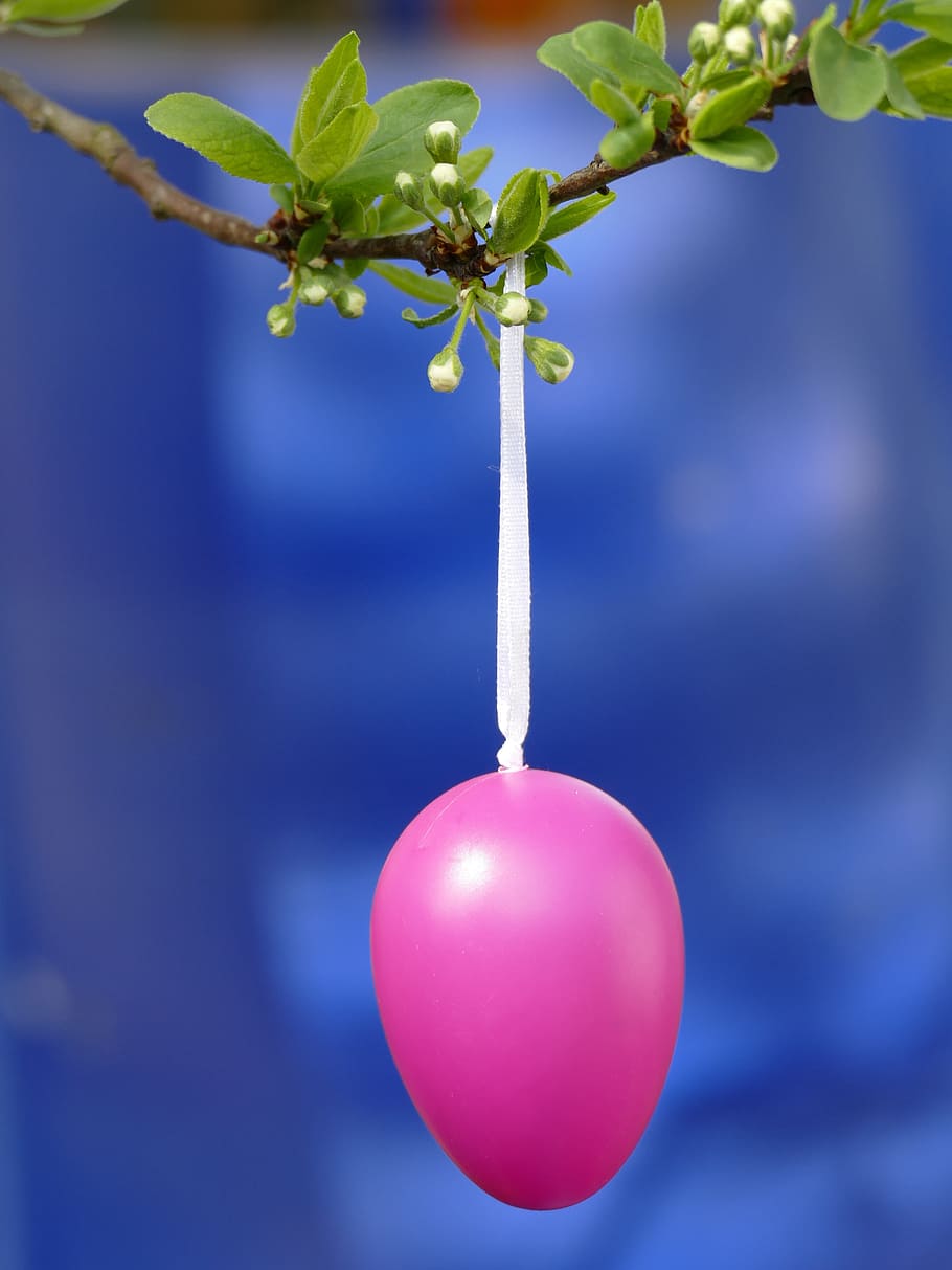Easter Egg, Pink, Spring, easter theme, color, colorful, easter decor HD wallpaper