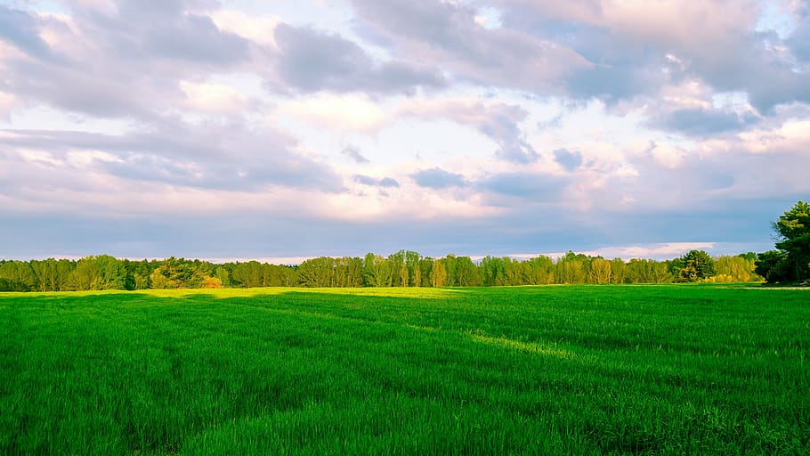 panoramic, lawn, field, nature, rural area, sky, horizon, landscape HD wallpaper