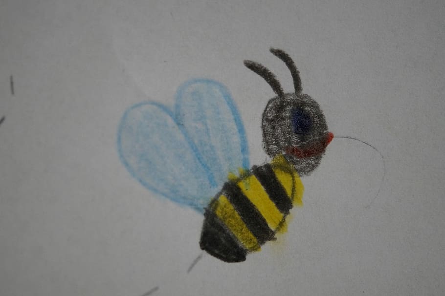 Bee, Fly, Insect, Animal, children drawing, school, kindergarten HD wallpaper