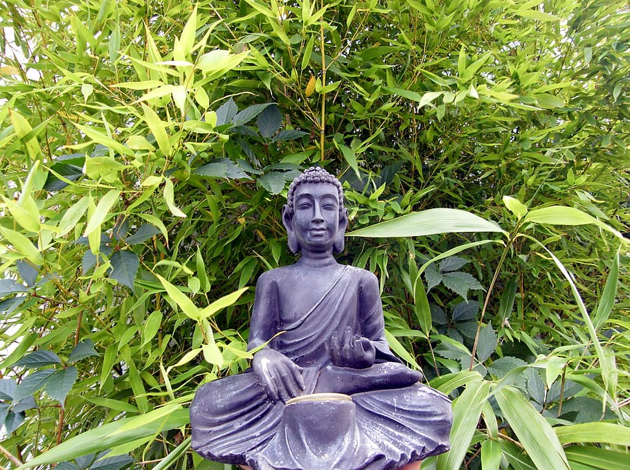 buddha, bamboo, lamp, sit, statue, buddhism, asia, religion HD wallpaper