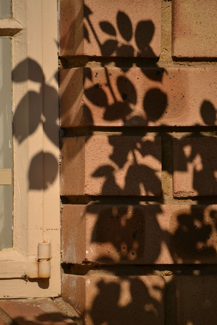 shadow, wall, garden, sunlight, no people, wall - building feature HD wallpaper