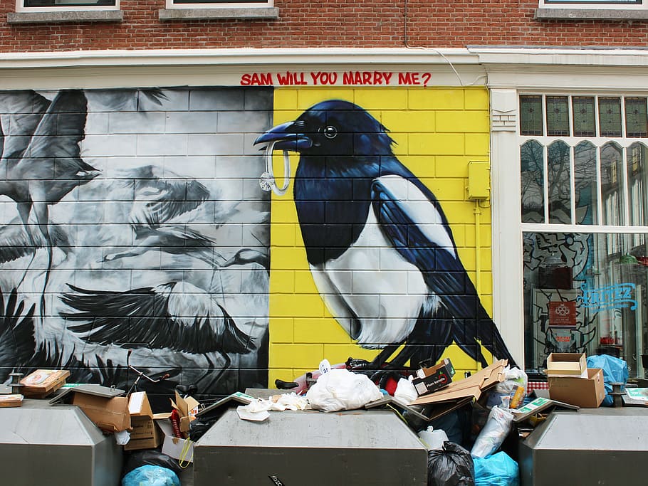 black and white bird graffiti wall surrounded by trash, black and white bird wall painting HD wallpaper