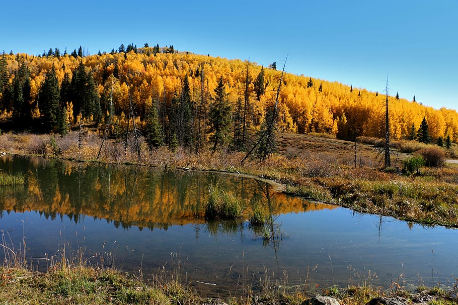 Fall, Mountains, Pond, Landscape, Autumn, nature, forest, travel HD wallpaper