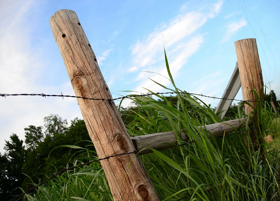 fence post, barb wire, barbed, rural, field, meadow, sky, green HD wallpaper