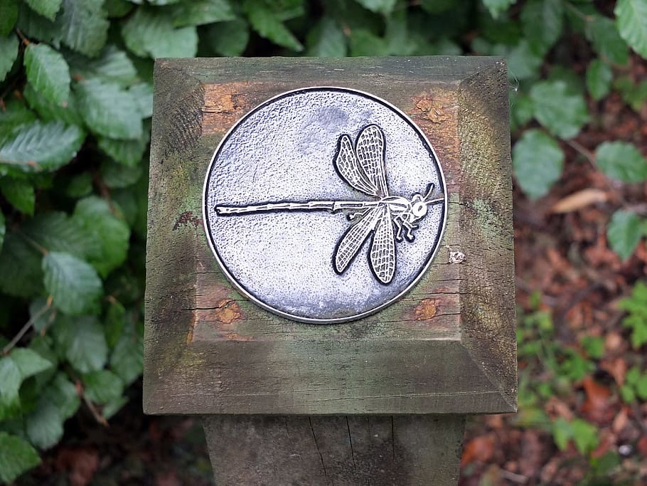 dragonfly, guide, garden, path, direction, metal, steel, embossed HD wallpaper