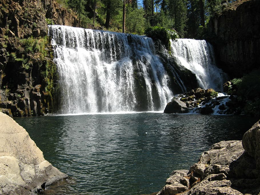 waterfalls on rock near trees, stream, nature, motion, flowing water HD wallpaper