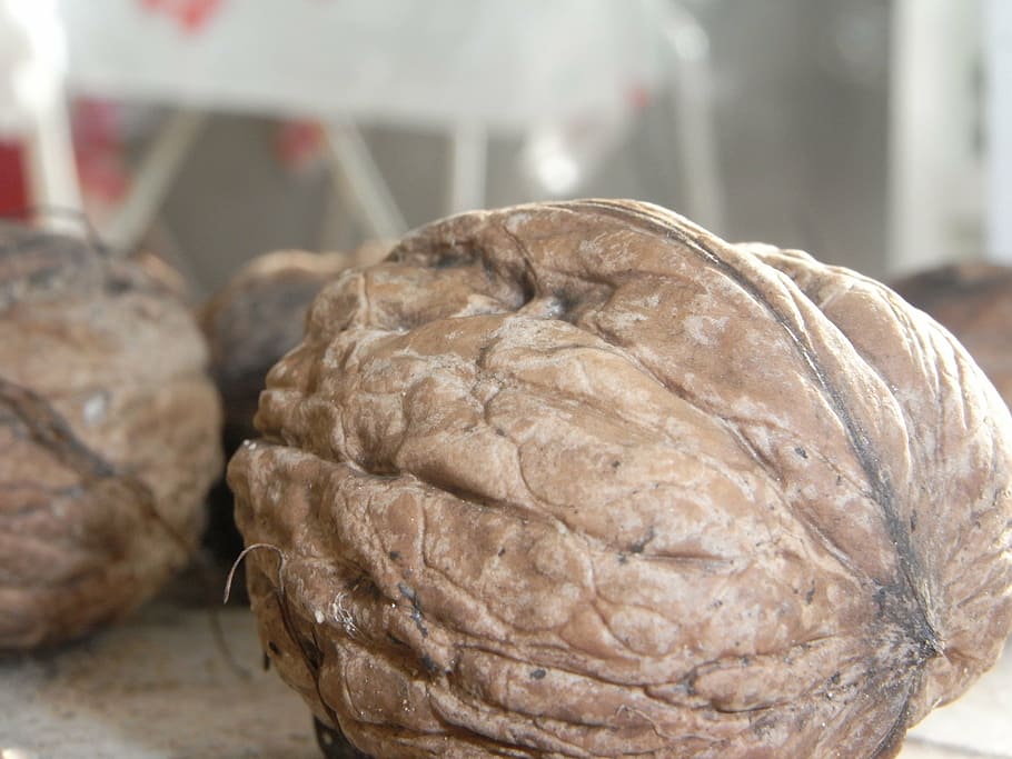 walnut, snack, ingredient, organic, nutrition, nutshell, food HD wallpaper