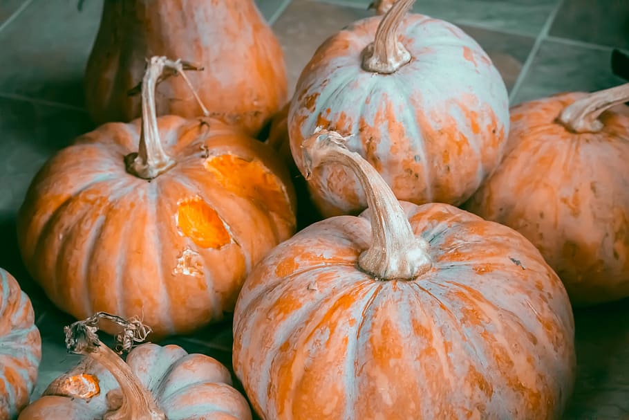 Moody Harvest, seven pumpkins, gourde, fall, autumn, orange, food and drink HD wallpaper