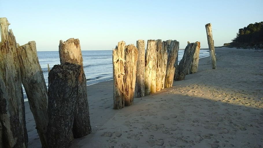 driftwood, stakes, trunks, beach, sand, irish sea, sky, land HD wallpaper