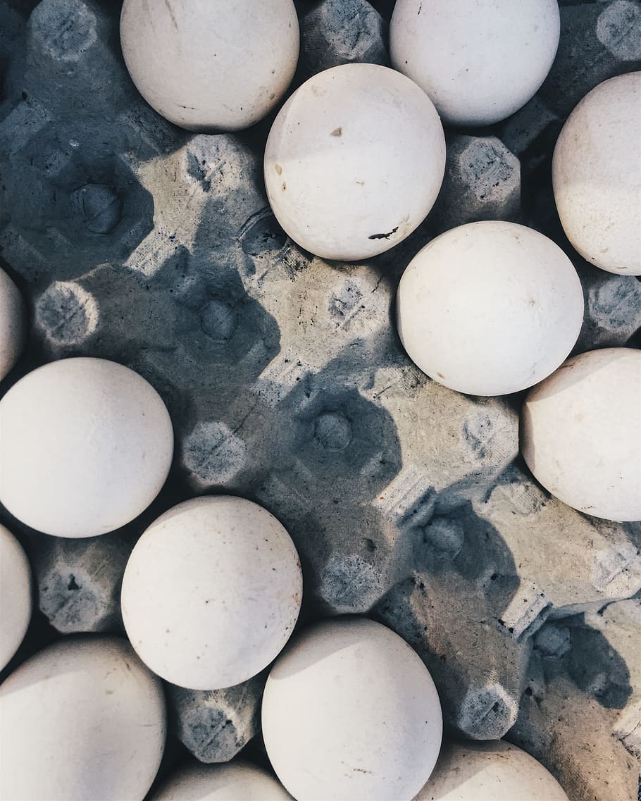 space, pattern, white, eggs, batch, close -up, colors, domestic HD wallpaper