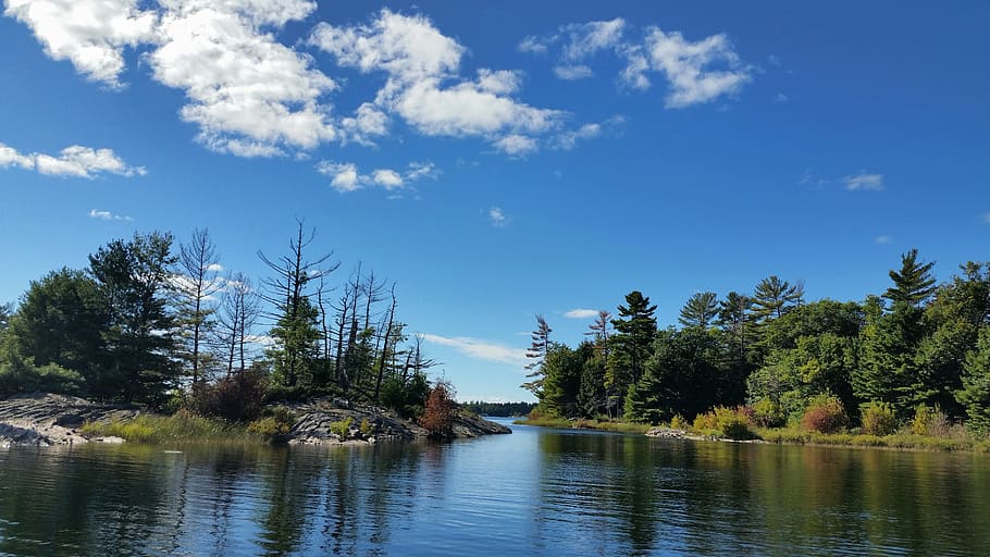 wilderness, nature, river, landscape, scenic, tree, water, plant HD wallpaper