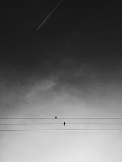 two black birds on electric wires under gray sky during daytime, two birds on gray electric wire under gray cloudy sky HD wallpaper