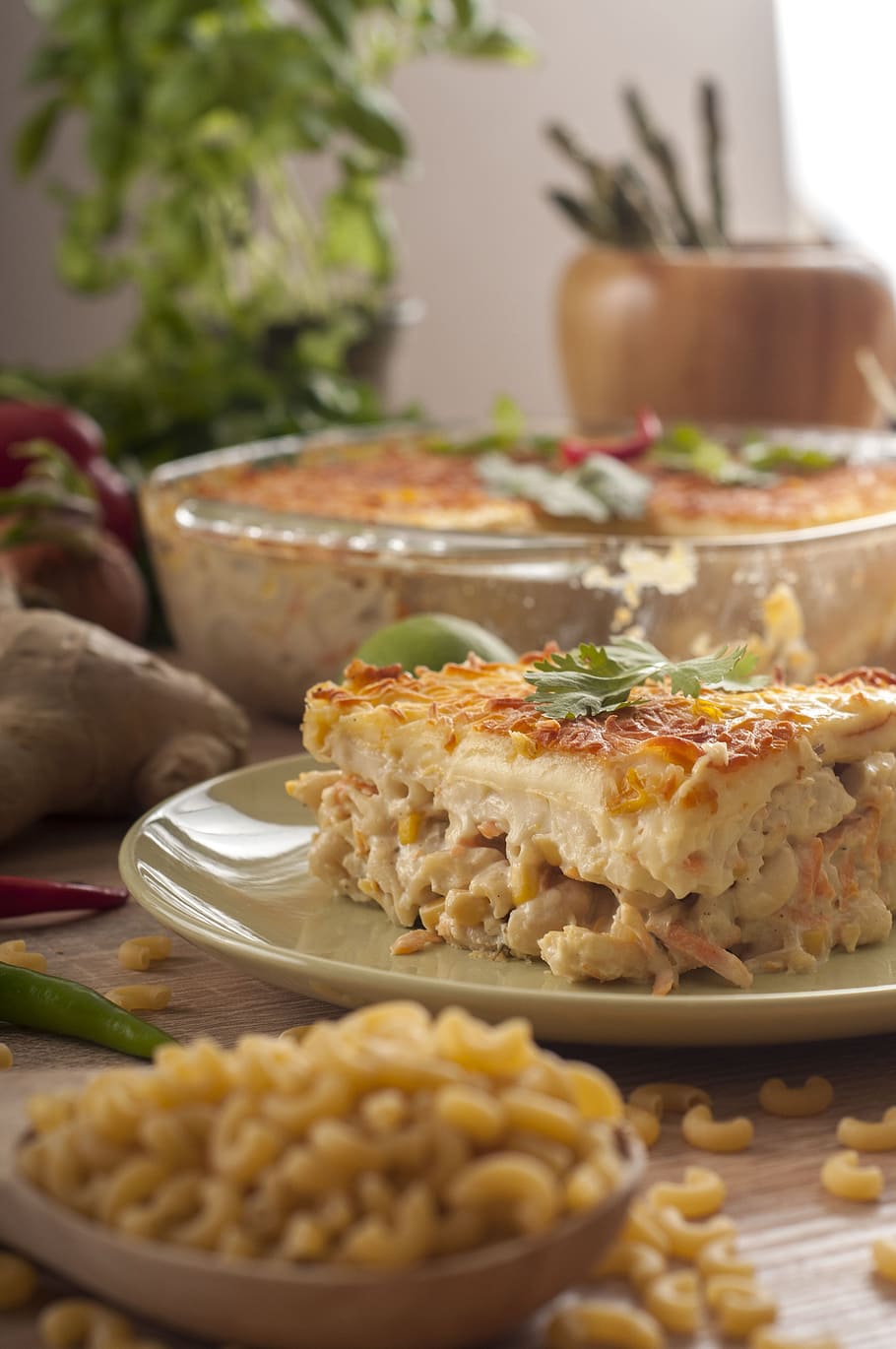 macaroni, bechamel, cheese, parsely, food, diiner, pasta, healthy HD wallpaper
