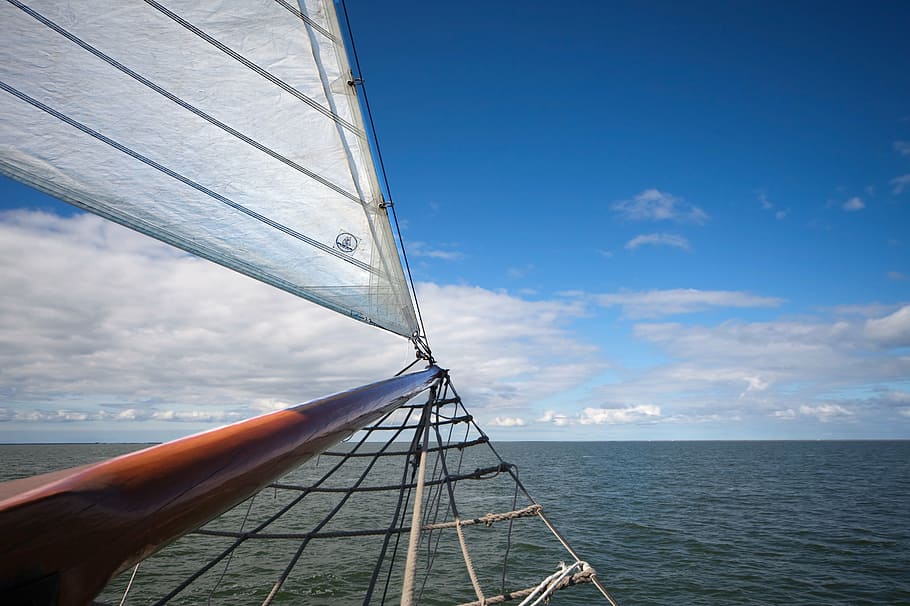 sail boat under blue sky, sea, boot, horizon, water, mast, shipping, HD wallpaper