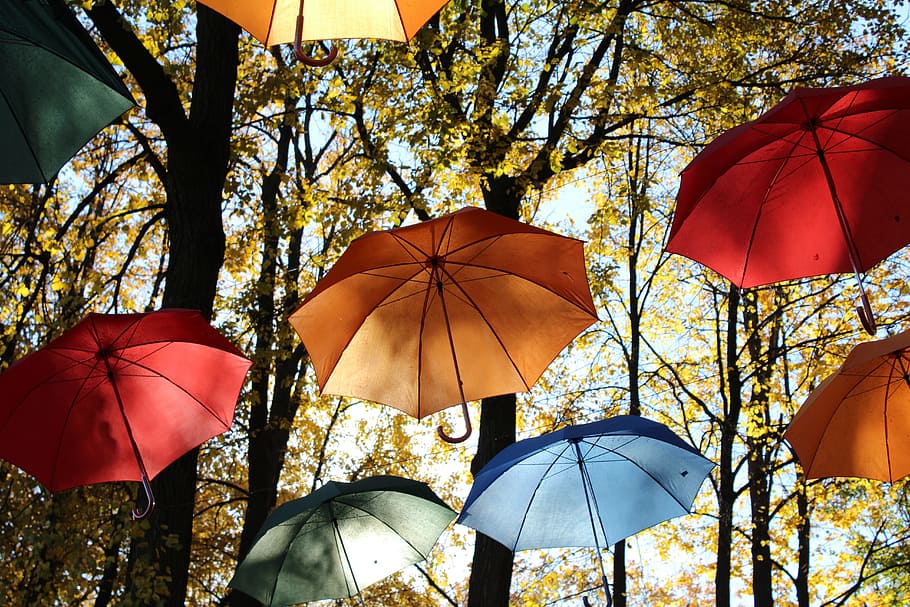Umbrellas, Sun, Trees, Color, protection, rain, red, weather HD wallpaper