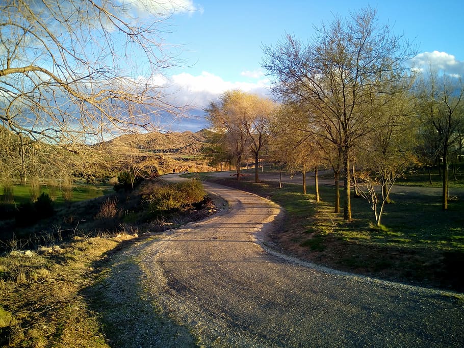 path, walk, landscape, nature, trees, trail, walking, route HD wallpaper