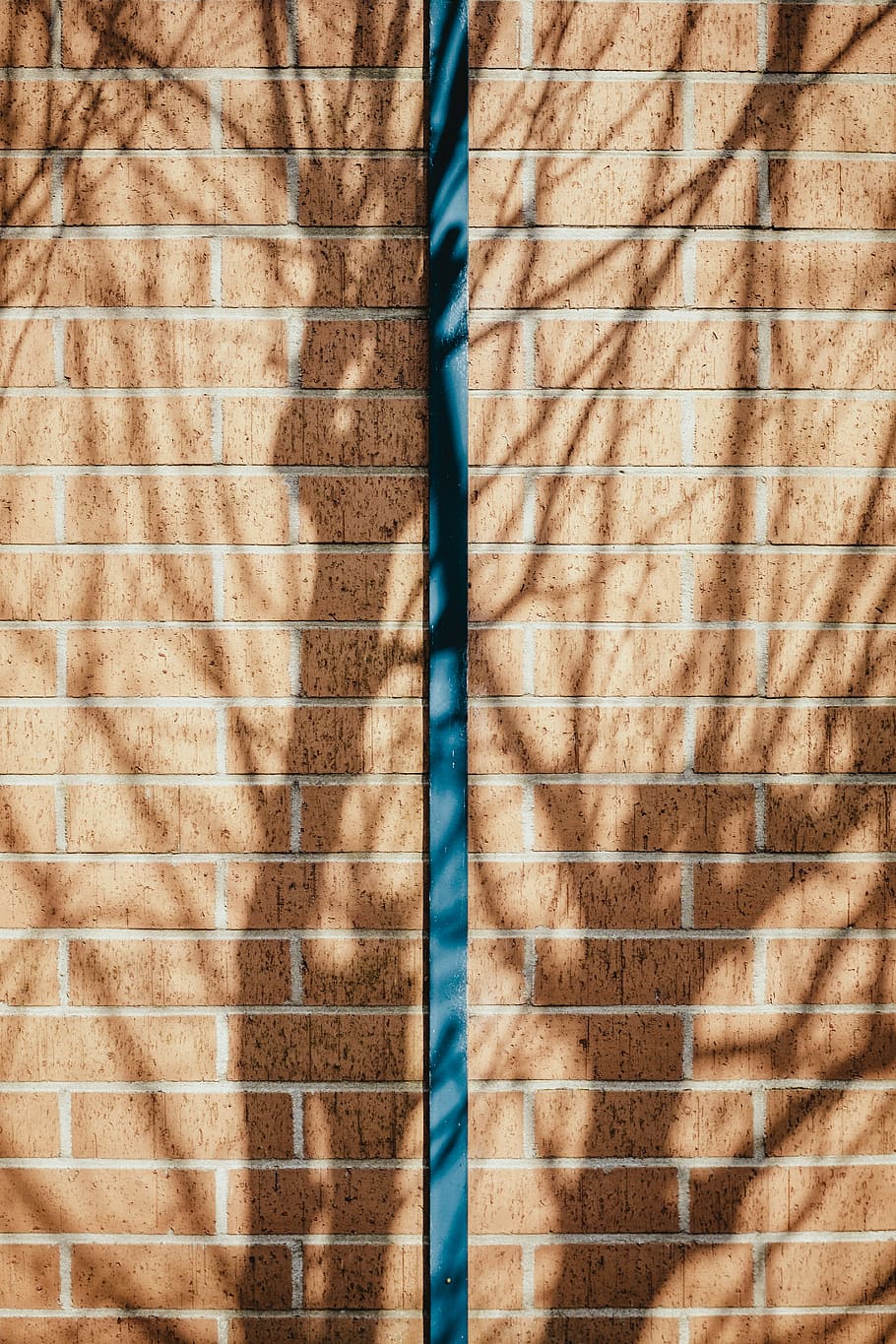 blue bar on brown concrete brick wall, photo of brown wall brick HD wallpaper