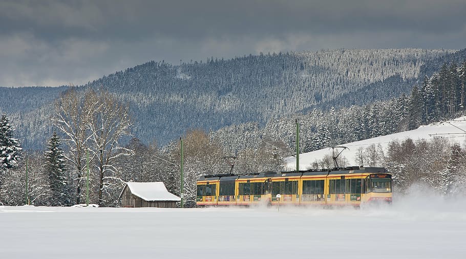 tram, winter, speed, snow, cold temperature, weather, nature HD wallpaper