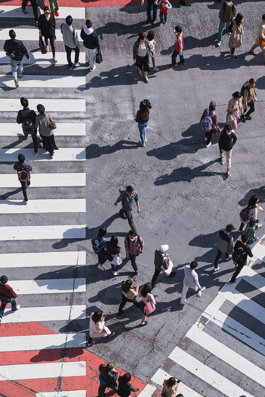 aerial photography of people crossing pedestrian lane, aerial view of people walking and crossing street during daytime, HD wallpaper