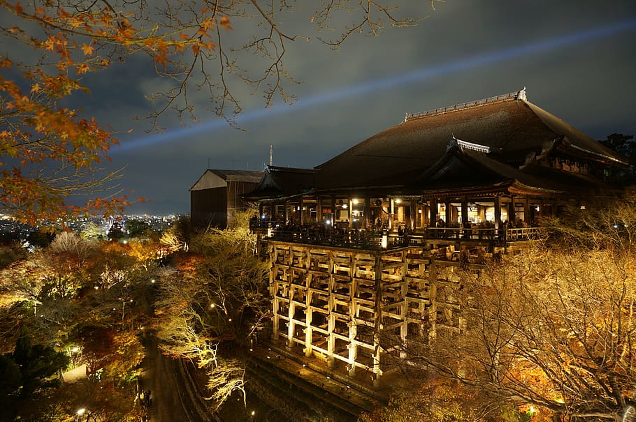 aerial photo of brown pagoda tower store, japan, osaka, osaka night view, HD wallpaper