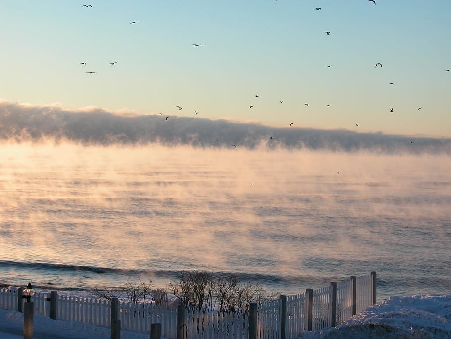 Ocean, Nh, Usa, Sea Smoke, New England, cold, water, no people, HD wallpaper